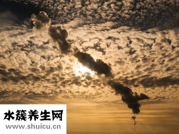 晕车后怎么办