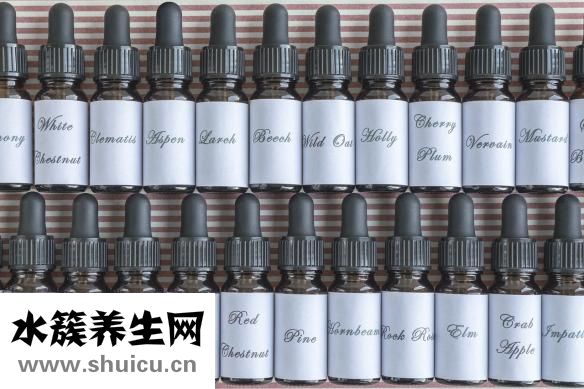 水果什么时候吃最好