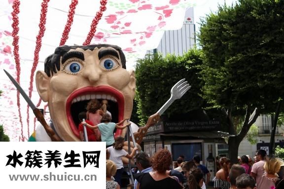 维脑路通片