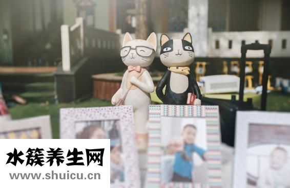 无糖食品有哪些东西