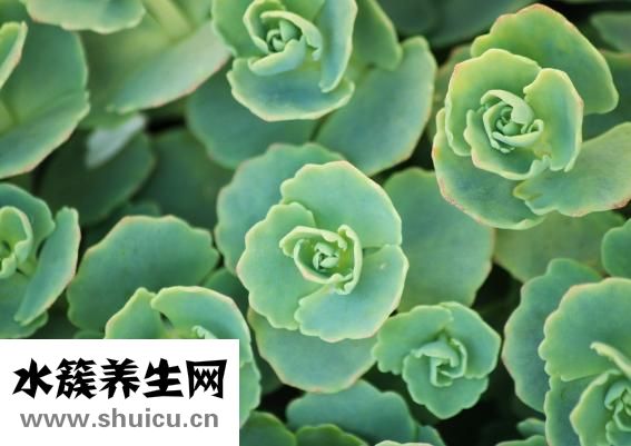遗尿是怎么回事