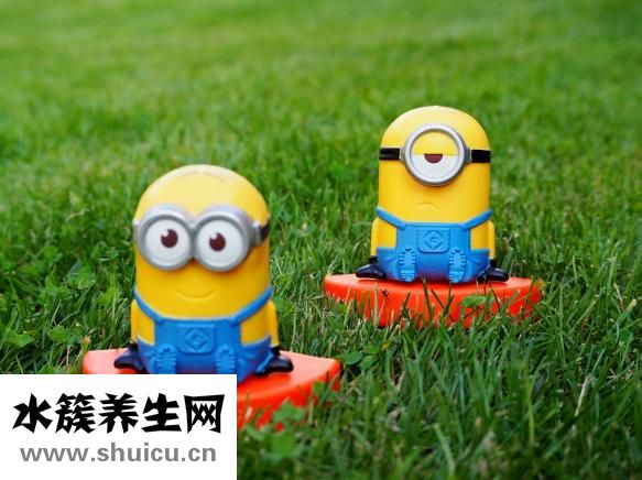 维脑路通片