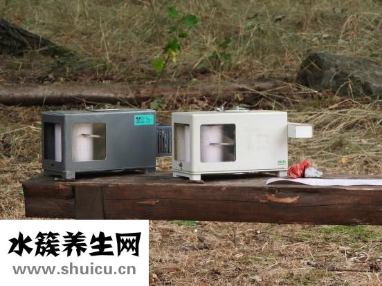 头围是什么意思
