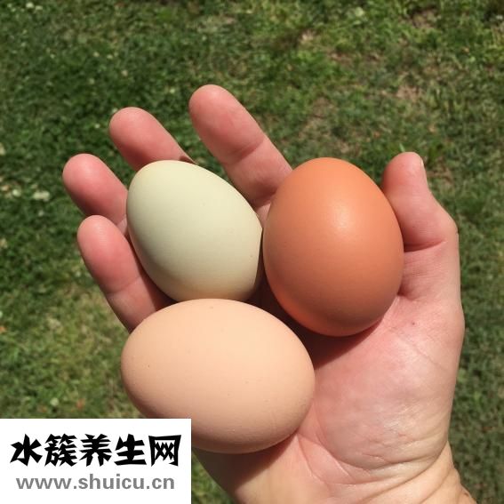 韭菜炒鸡蛋的功效