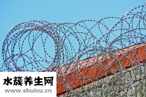 猩红热早期症状图片