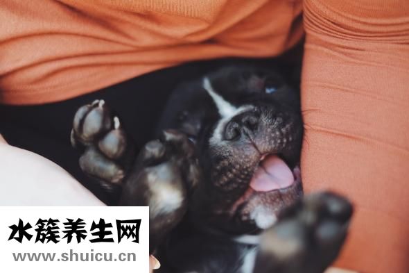 舌头有黑点