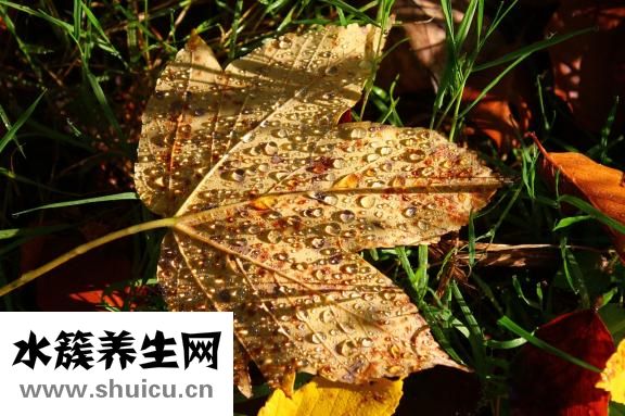黄鳝煲仔饭