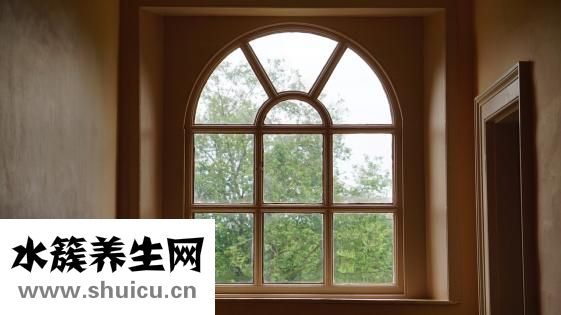 瘦脸针海鲜