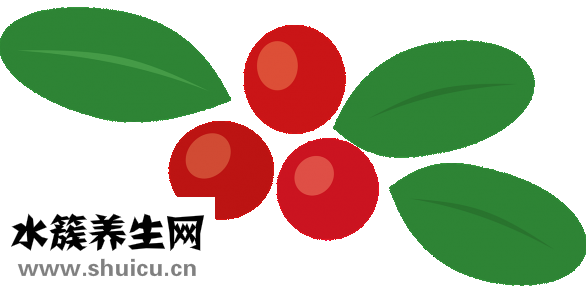 痛风吃什么水果好