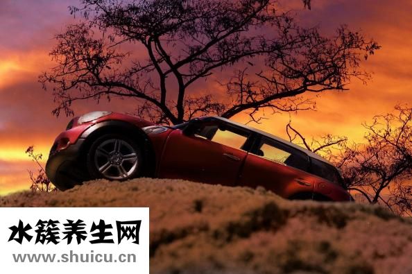 洋槐蜜的功效