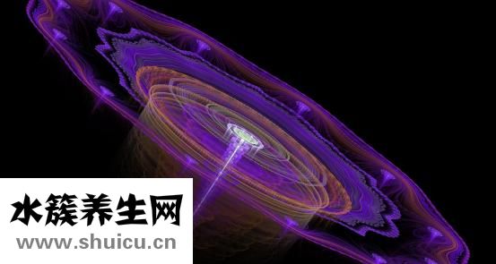 枣核的功效与作用