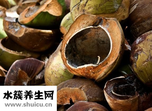新鲜椰子肉最佳吃法