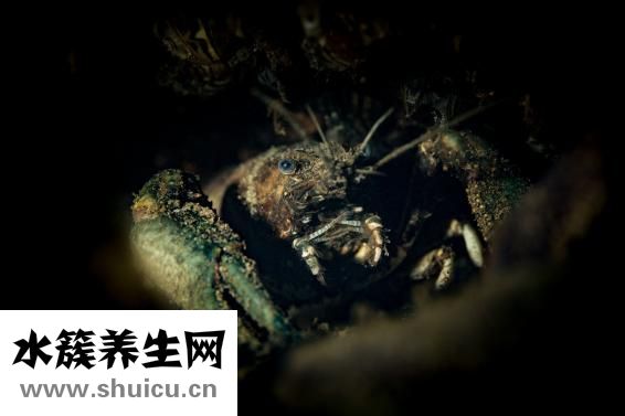 胸部有结节怎么办