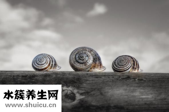胃溃疡会传染吗