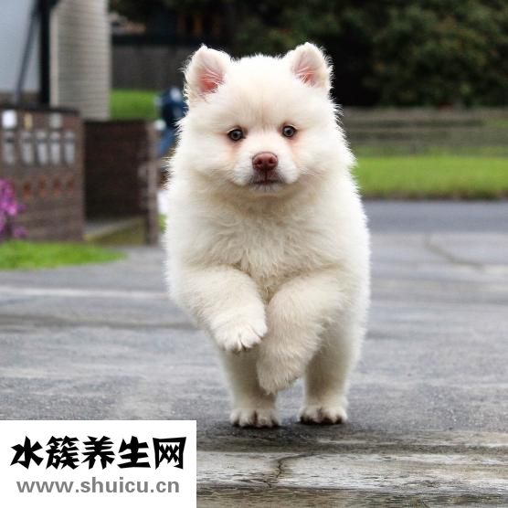 如果肚子痛应立即停止吃面或吃流食