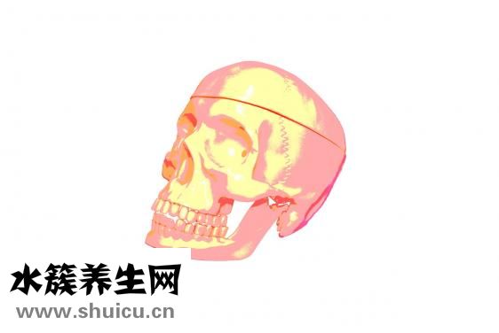 王氏伸筋壮骨胶囊