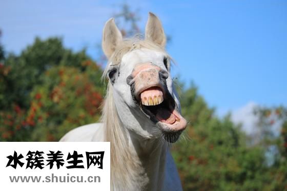 胃溃疡会传染吗
