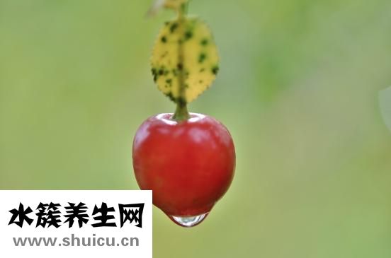 未婚女性妇科检查