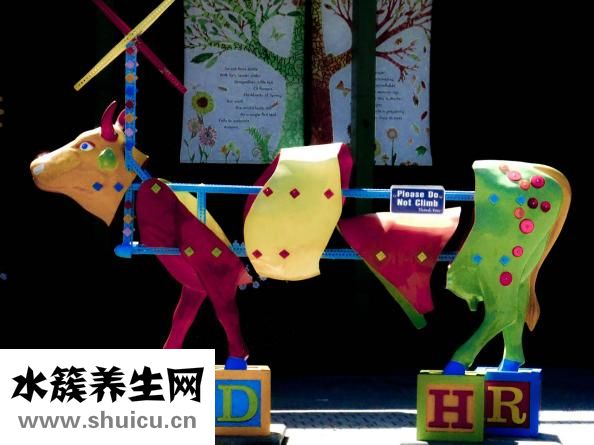 舒筋活络健腰丸