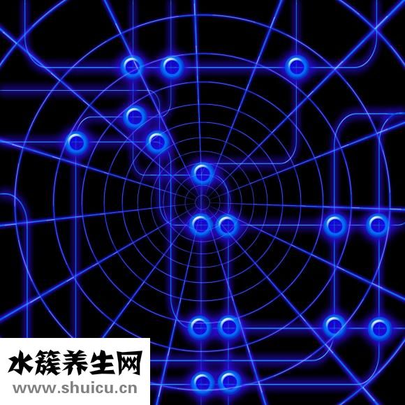 菟丝子中药