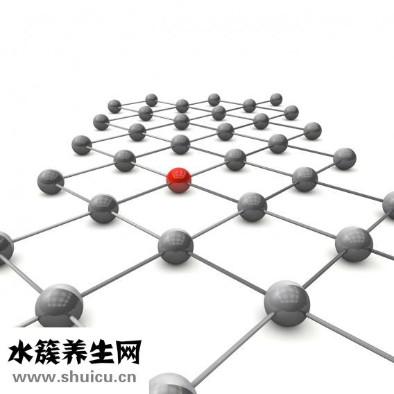 银杏酮酯分散片