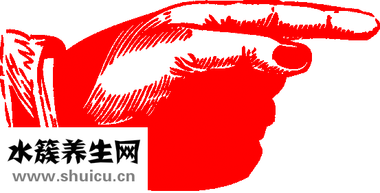 穴位按摩视频