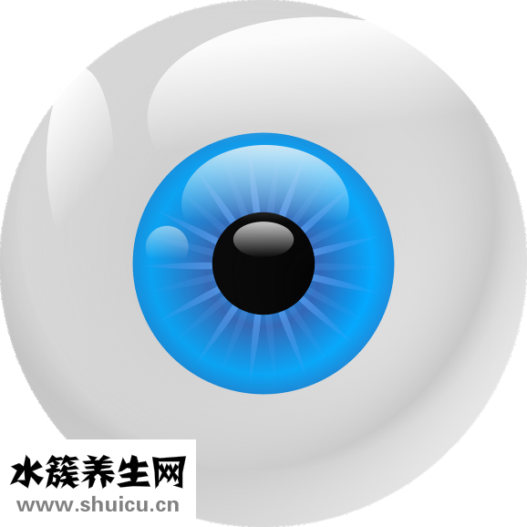 眼球结构图