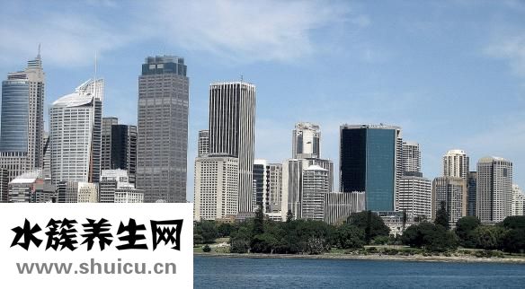 西洋参价格表