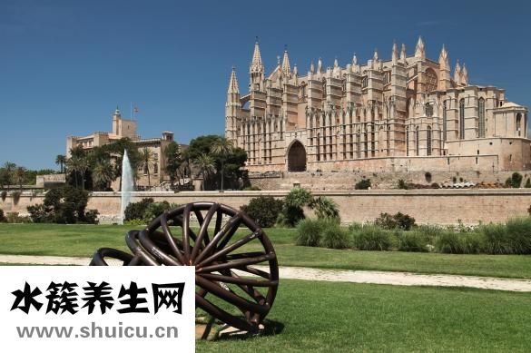 头皮发痒怎么治疗