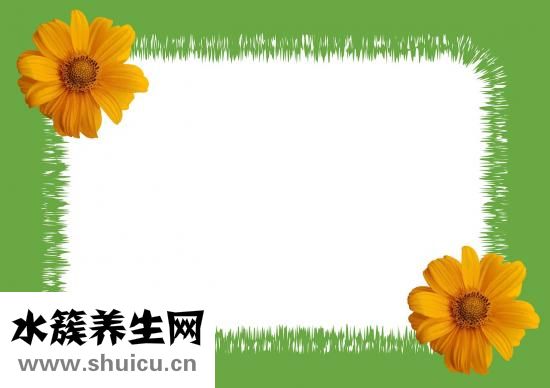 白斑是什么病