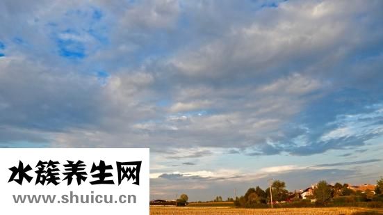 跳绳想尿怎么回事
