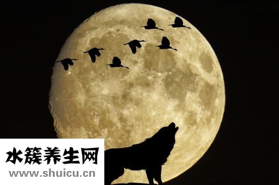 鱿鱼炒青椒