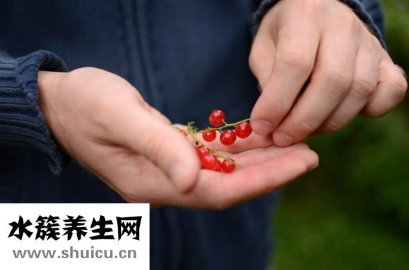 螃蟹的营养价值