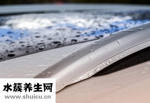 黄百合花价格行情怎样？一般在万-元一斤上下