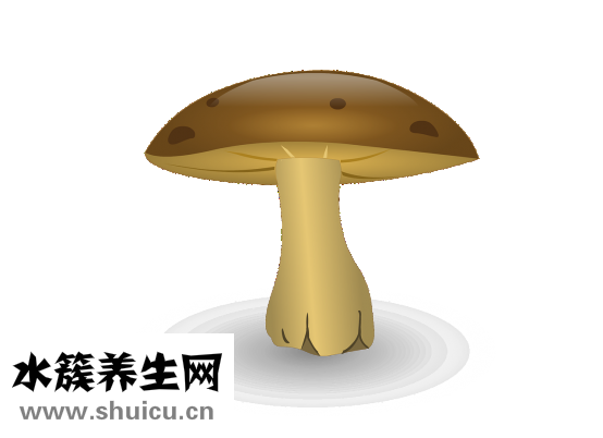 臭粉是什么