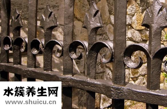 胎盘位于子宫后壁