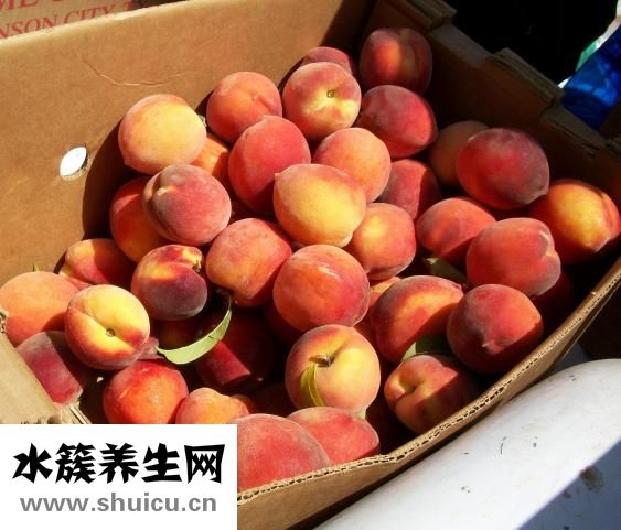 杨桃的功效和作用