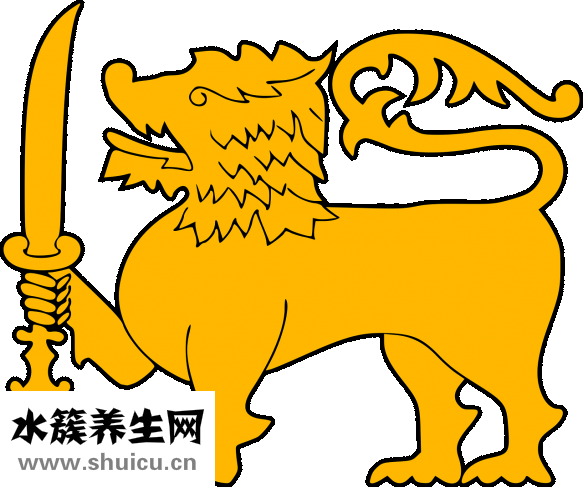 月子里可以刷牙吗