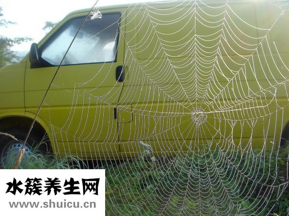 黄绿色的痰