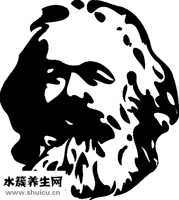 精神病咨询