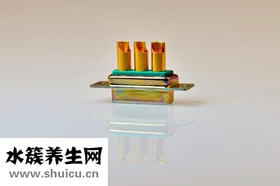 脑清片说明书