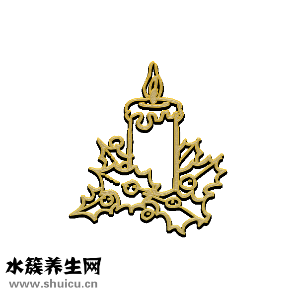 燕窝真假怎么分辨