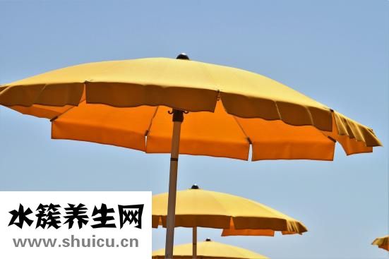 本草纲目：治小便淋沥黄疸消渴带下小便不利