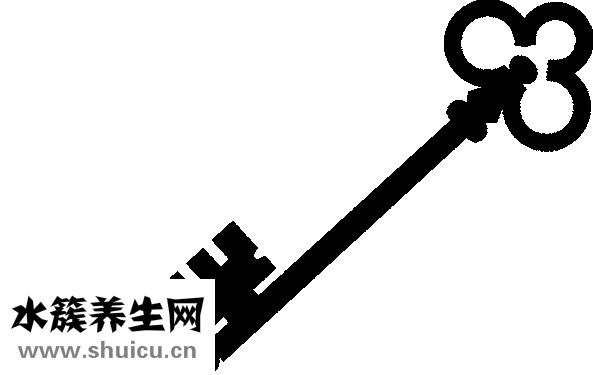 肾上腺糖皮质激素