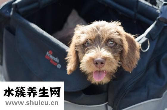舌苔发黄怎么办