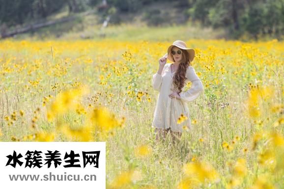 香菇汤怎么做好喝