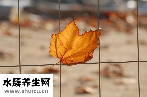 通便的方法