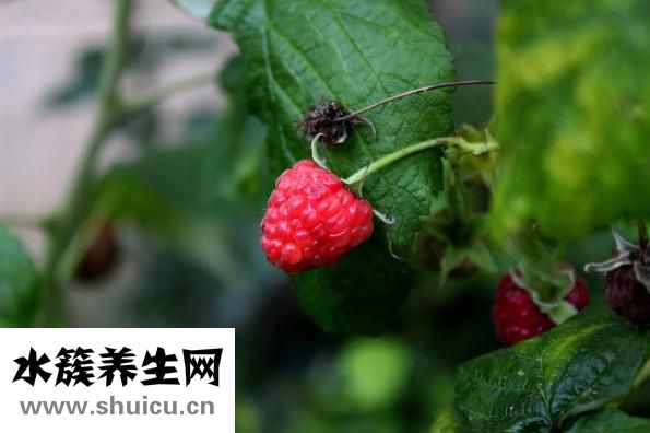 怎样治疗牙周炎