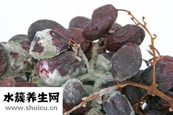 熟猪肝可以冷冻吗