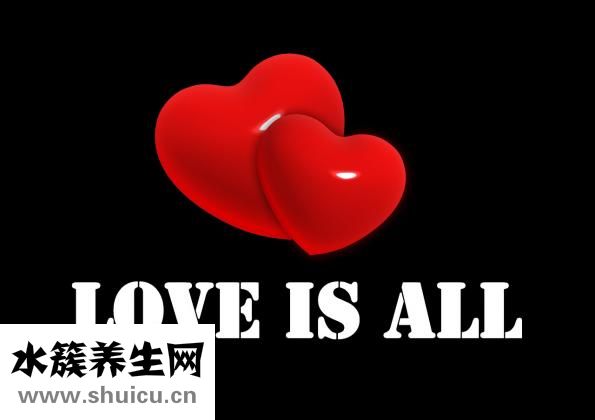 龙骨是什么